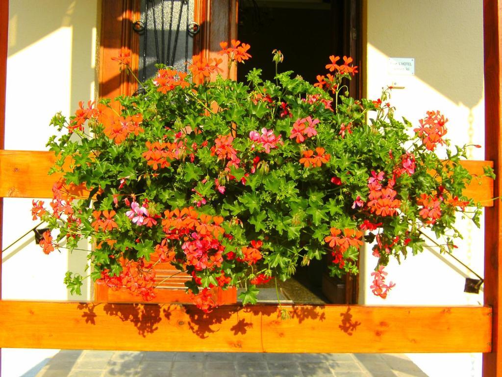B&B Le Petit Normand Jalhay Bagian luar foto