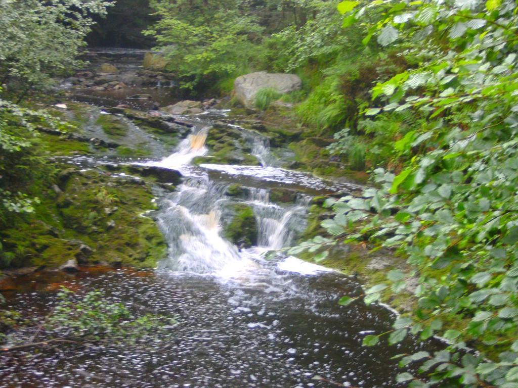 B&B Le Petit Normand Jalhay Bagian luar foto